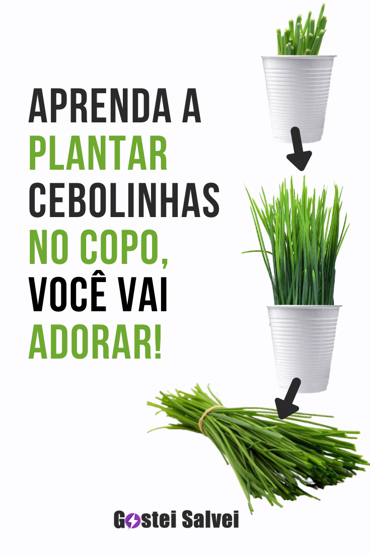 Aprenda A Plantar Cebolinha No Copo Voc Vai Adorar Gosteisalvei