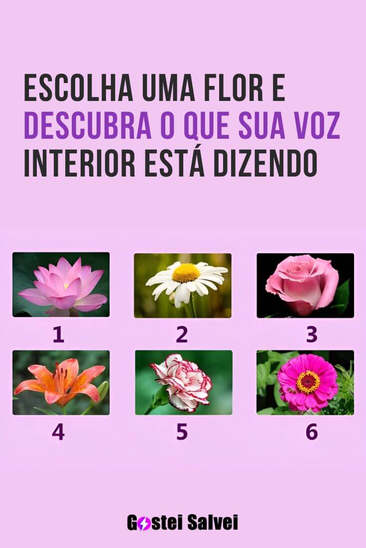 Escolha uma flor e descubra o que sua voz interior está dizendo