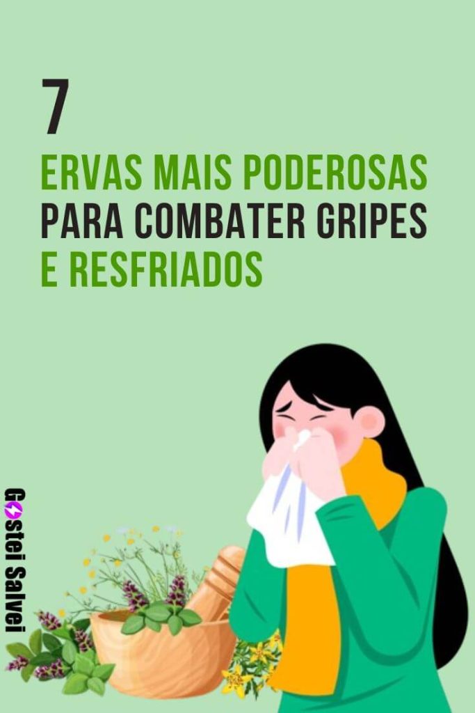 7 ervas mais poderosas para combater gripes e resfriados
