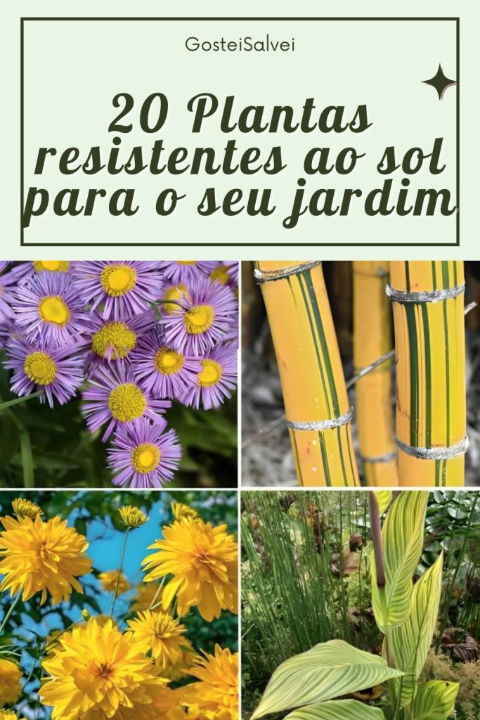 plantas resistentes ao sol