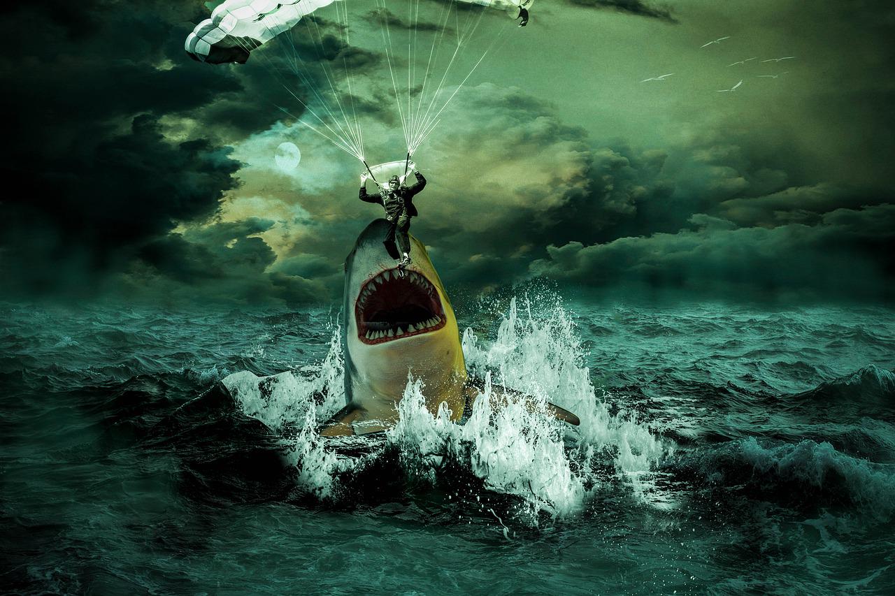 Você está visualizando atualmente Sonhar Com Tubarão