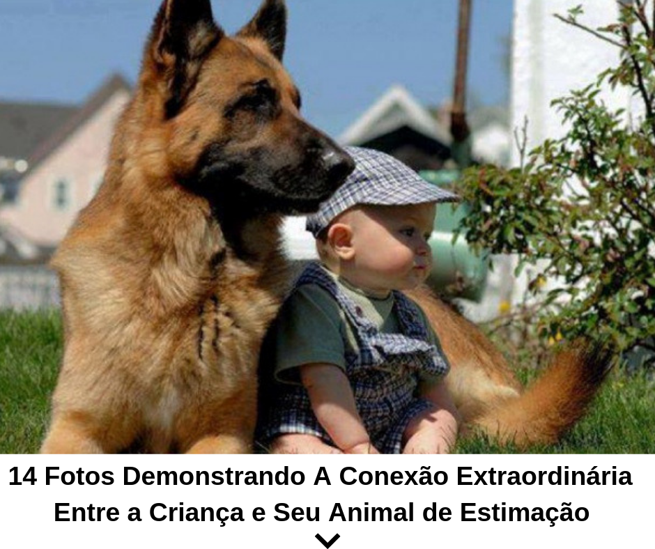 You are currently viewing 14 fotos demonstrando a conexão extraordinária entre a criança e seu animal de estimação