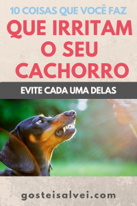 Read more about the article 10 Coisas Que Você Faz Que Irritam o Seu Cachorro – Evite Cada Uma Delas
