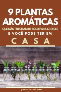 Read more about the article 9 Plantas Aromáticas Que Não Precisam De Solo Para Crescer e Você Pode Ter Em Casa