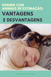 Leia mais sobre o artigo Dormir Com Animais De Estimação: Vantagens e Desvantagens