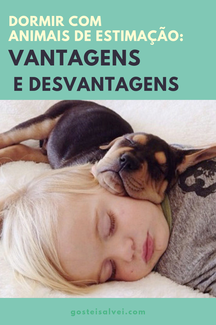You are currently viewing Dormir Com Animais De Estimação: Vantagens e Desvantagens