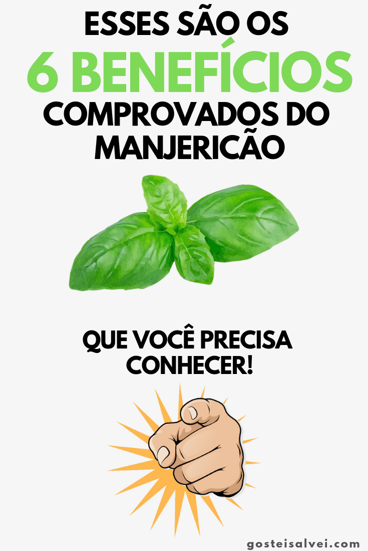 You are currently viewing Esses São Os 6 Benefícios Comprovados Do Manjericão Que Você Precisa Conhecer!