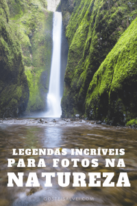 Read more about the article Legendas incríveis para fotos na natureza