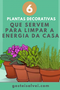 Leia mais sobre o artigo 6 Plantas Decorativas Que Servem Para Limpar a Energia Da Casa﻿