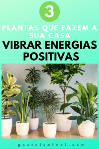 Read more about the article ﻿3 Plantas Que Fazem a Sua Casa Vibrar Energias Positivas