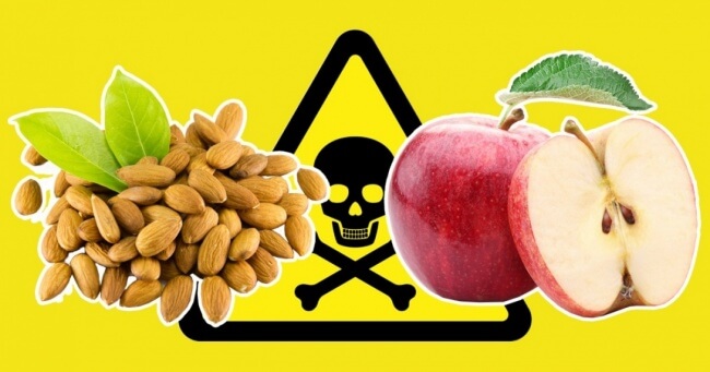 You are currently viewing 11 Alimentos Comuns Perigosos Para a Saúde – Nem Os Animais Deveriam Comer Isso
