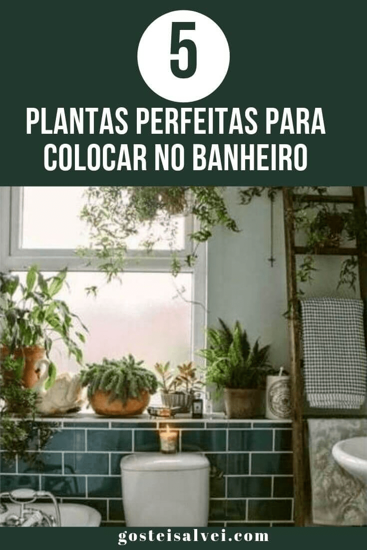 You are currently viewing 5 Plantas Perfeitas Para Colocar No Banheiro