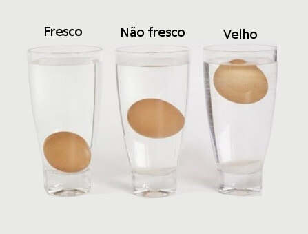 Dicas Para Saber Se Os Ovos S O Frescos Ou Velhos Gosteisalvei