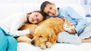 Read more about the article 17 Razões que vão convencer qualquer pessoa a ter um cachorro em casa – O #4 é o meu preferido