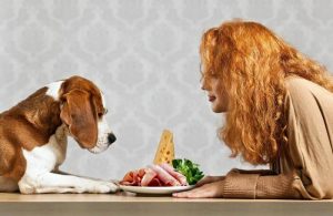 Read more about the article 13 Alimentos Que Você Não Pode Dar Para Seu Cachorro Em Hipótese Alguma – O #9 é o Pior