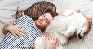 Read more about the article Cão ou gato? Sua escolha diz muito sobre sua personalidade!