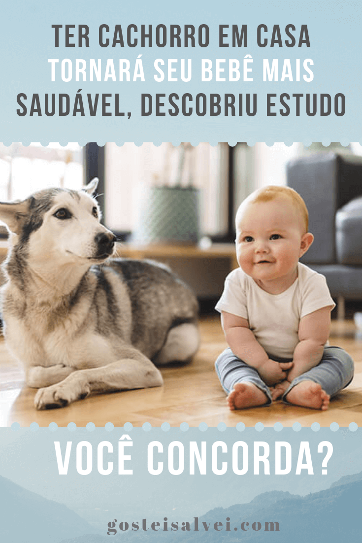 You are currently viewing Ter Cachorro Em Casa Tornará Seu Bebê Mais Saudável, Descobriu Estudo. Você Concorda?
