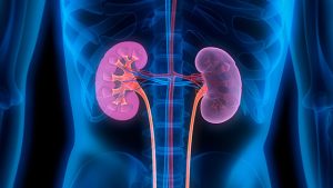 Leia mais sobre o artigo 7 Sinais de alerta da doença renal que as pessoas devem prestar atenção