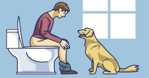 Read more about the article O seu cão te segue até o banheiro? Descubra o que ele quer dizer com isso!