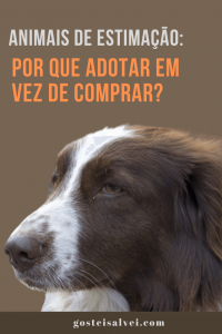 Read more about the article Animais de Estimação: Por que adotar em vez de comprar?