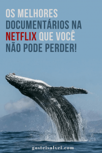 Read more about the article Os melhores documentários na Netflix que você não pode perder!
