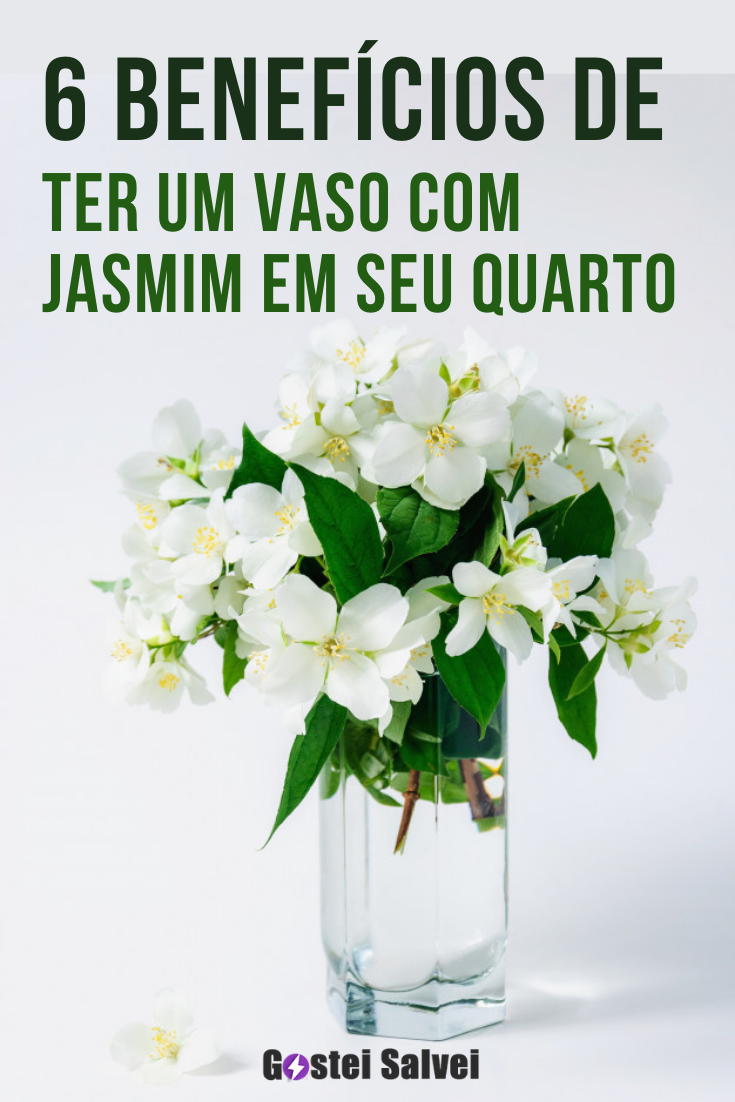 You are currently viewing 6 Benefícios de ter um vaso com jasmim em seu quarto