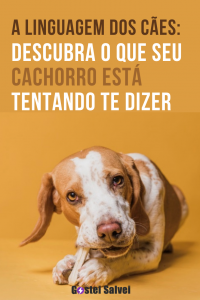 Read more about the article A linguagem dos cães: Descubra o que seu cachorro está tentando te dizer