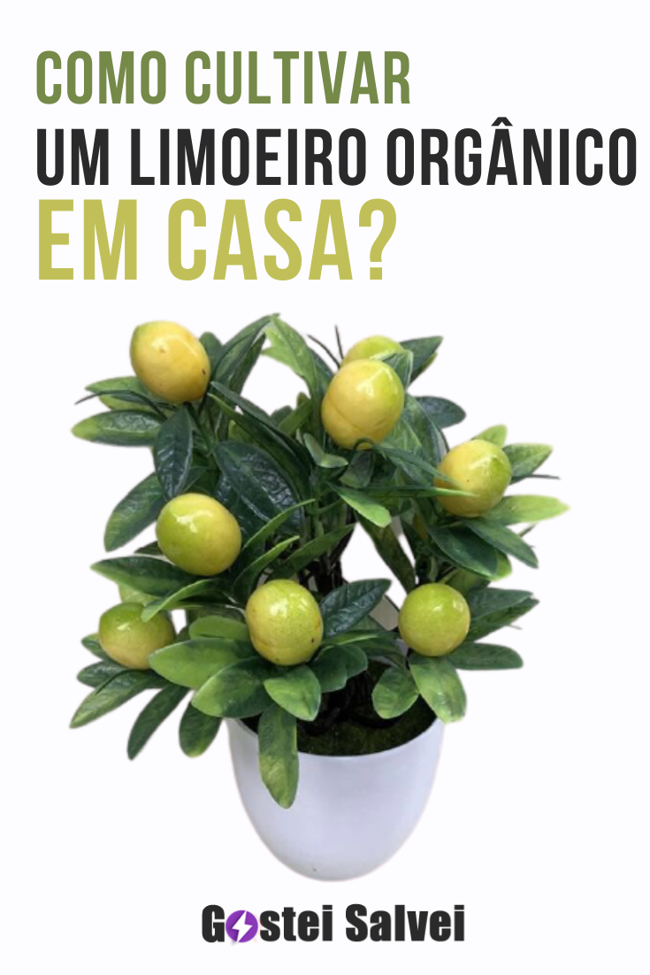 You are currently viewing Como cultivar um limoeiro orgânico em casa?
