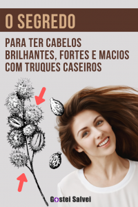 Read more about the article O segredo para ter cabelos brilhantes, fortes e macios com truques caseiros