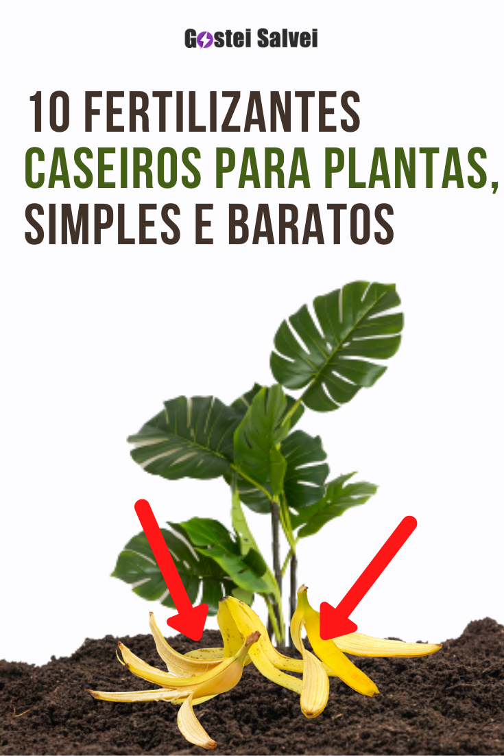 You are currently viewing 10 Fertilizantes caseiros para plantas, simples e baratos