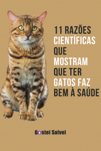 Read more about the article 11 Razões científicas que mostram que ter gatos faz bem à saúde