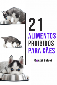 Read more about the article 21 Alimentos proibidos para cães