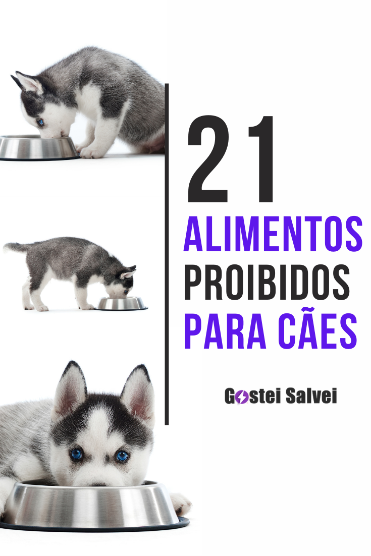 You are currently viewing 21 Alimentos proibidos para cães