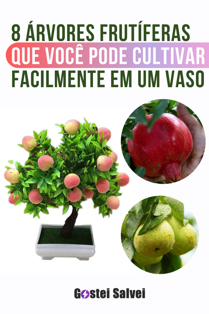 You are currently viewing 8 Árvores frutíferas que você pode cultivar facilmente em um vaso