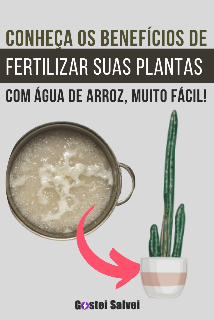 You are currently viewing Conheça os benefícios de fertilizar suas plantas com água de arroz, muito fácil!