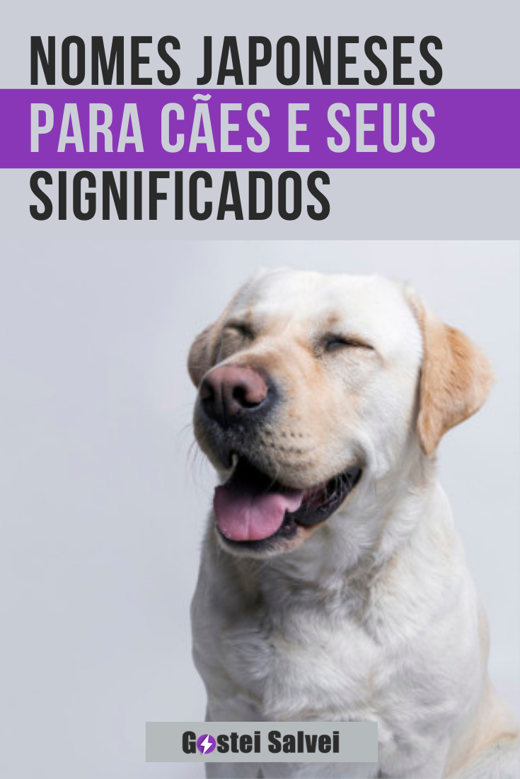 You are currently viewing Nomes japoneses para cães e seus significados