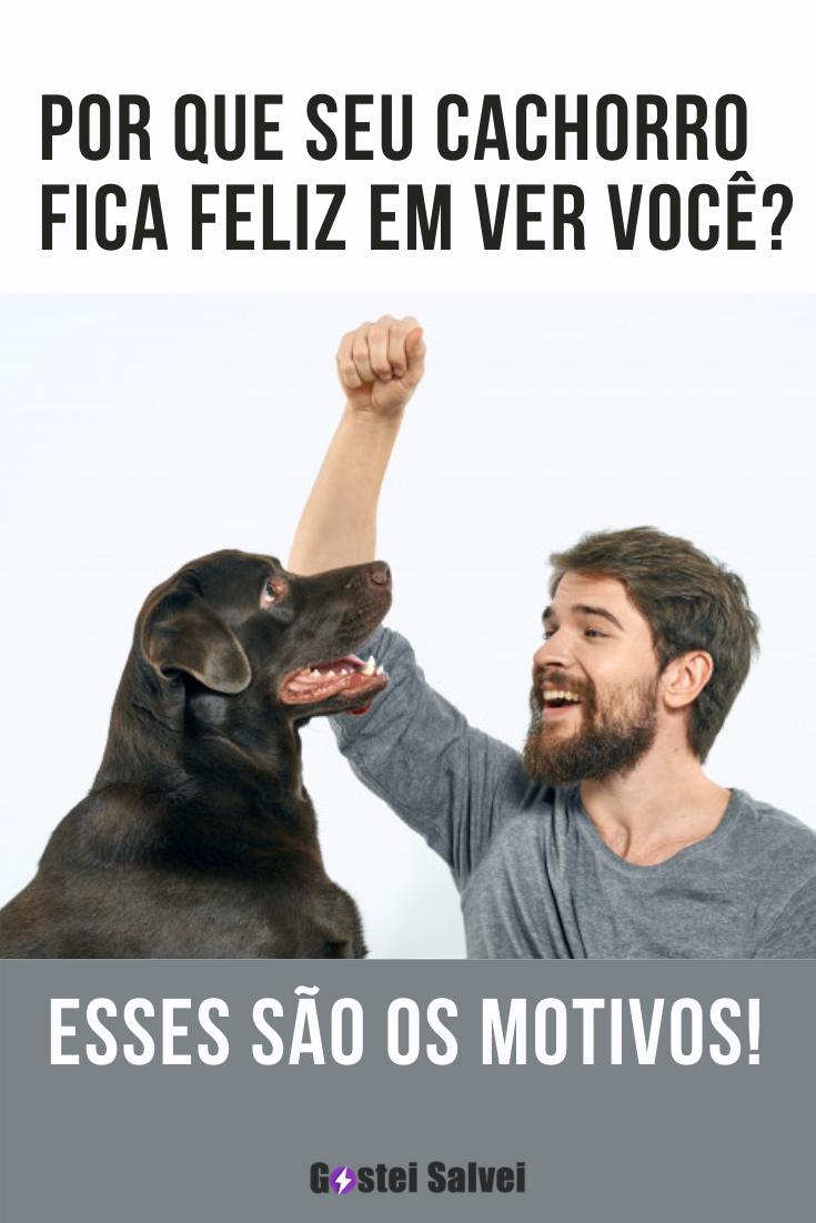 You are currently viewing Por que seu cachorro fica feliz em ver você? Esses são os motivos!