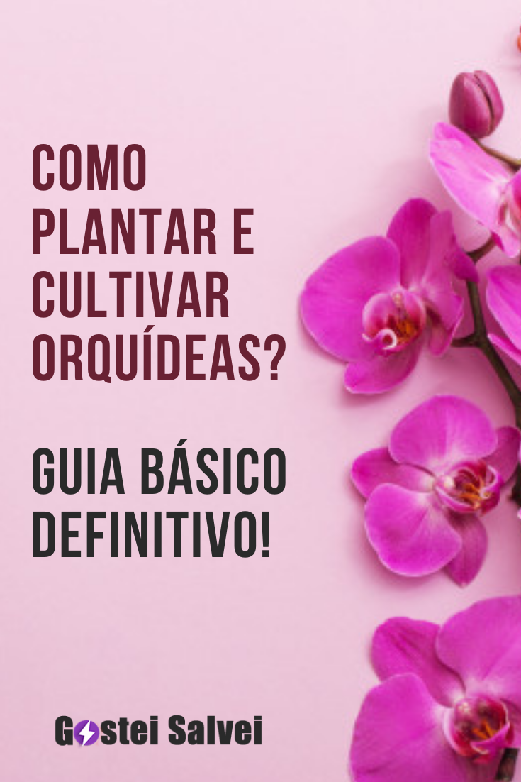 You are currently viewing Como plantar e cultivar orquídeas? Guia básico definitivo!