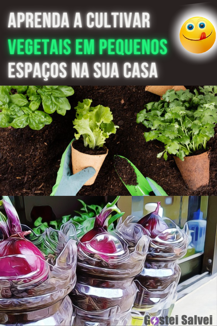 You are currently viewing Aprenda a cultivar vegetais em pequenos espaços na sua casa