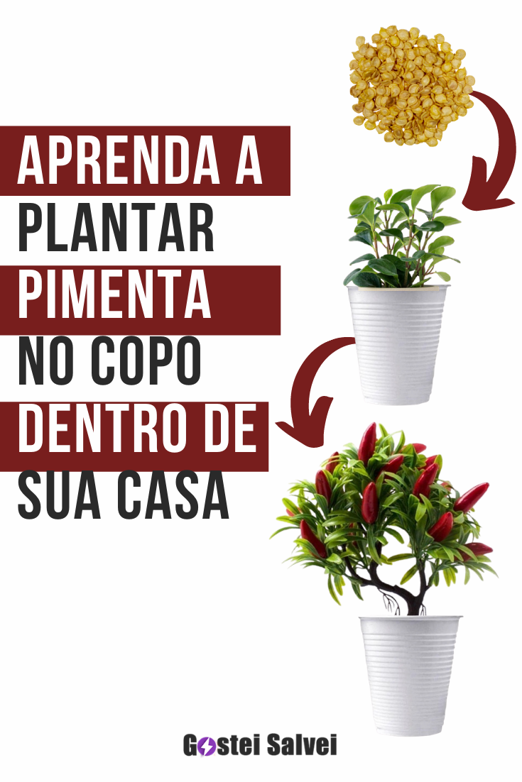 You are currently viewing Aprenda a plantar pimenta no copo dentro de sua casa