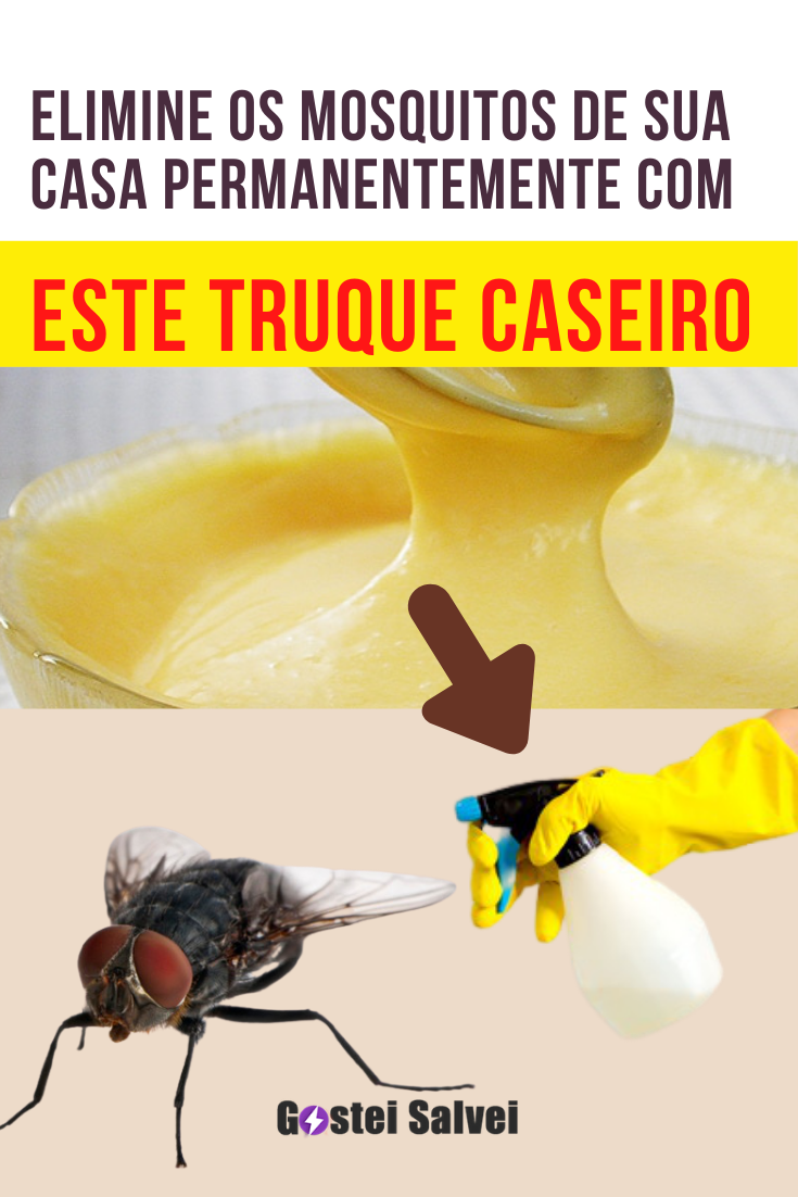 You are currently viewing Elimine os mosquitos de sua casa permanentemente com este truque caseiro