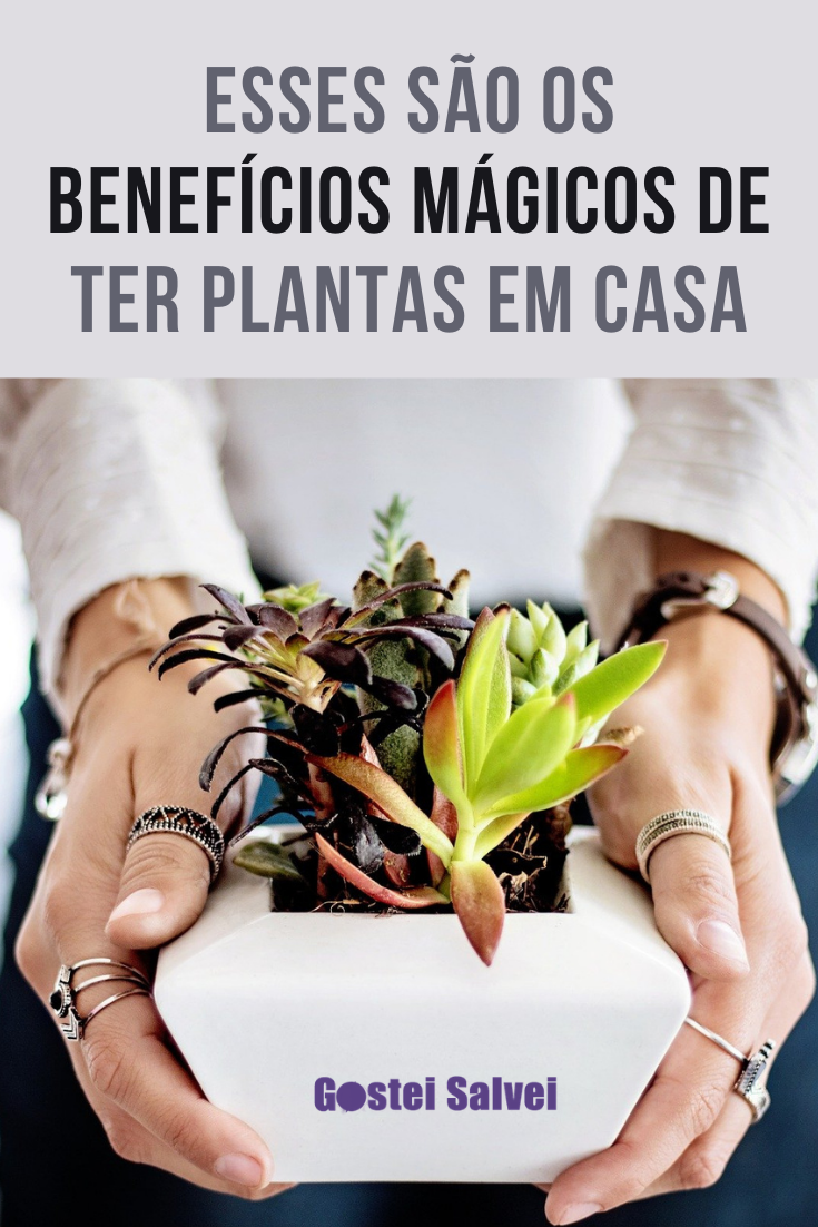 You are currently viewing Esses são os benefícios mágicos de ter plantas em casa