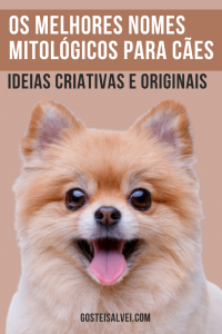 Read more about the article Os melhores nomes mitológicos para cães (Ideias criativas e originais)