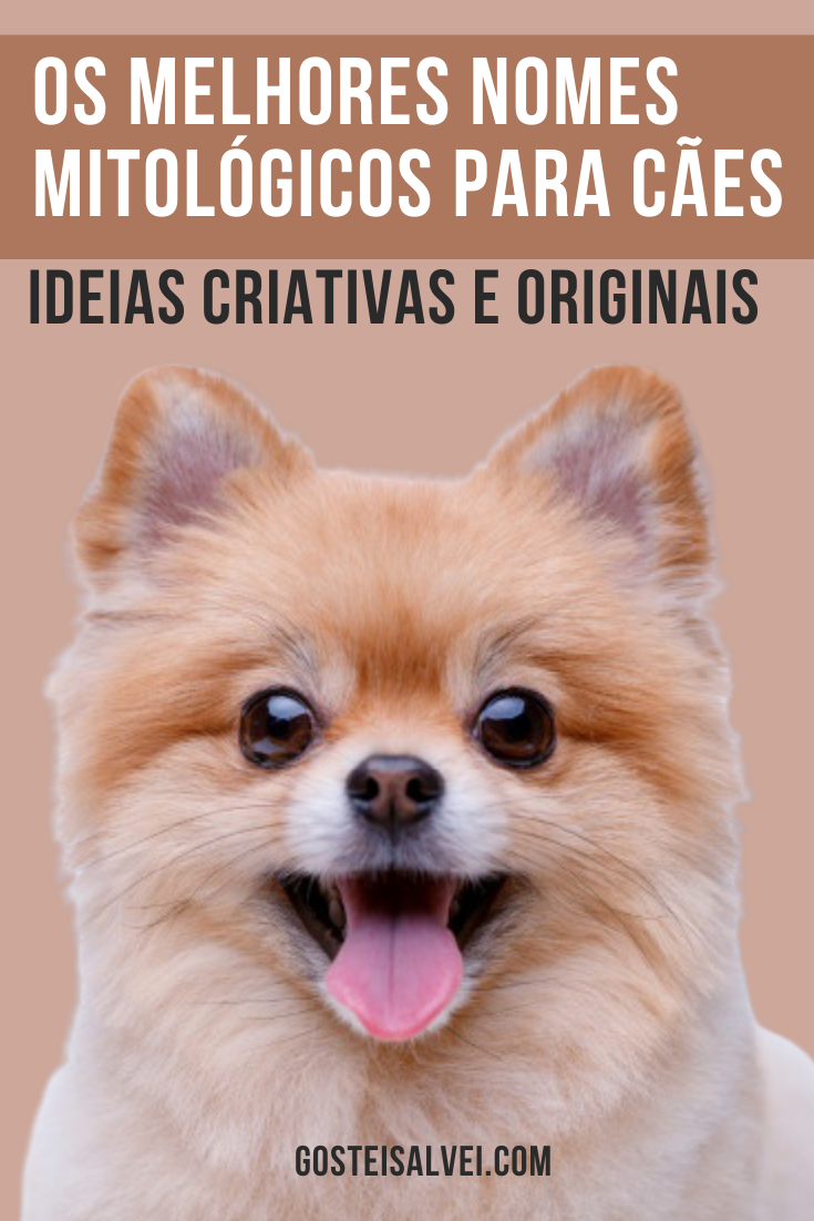 You are currently viewing Os melhores nomes mitológicos para cães (Ideias criativas e originais)