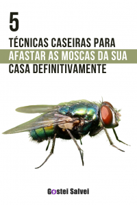 Read more about the article 5 Técnicas caseiras para afastar as moscas da sua casa de uma vez por todas!