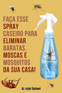 Read more about the article Faça esse spray caseiro para eliminar baratas, moscas e mosquitos da sua casa!