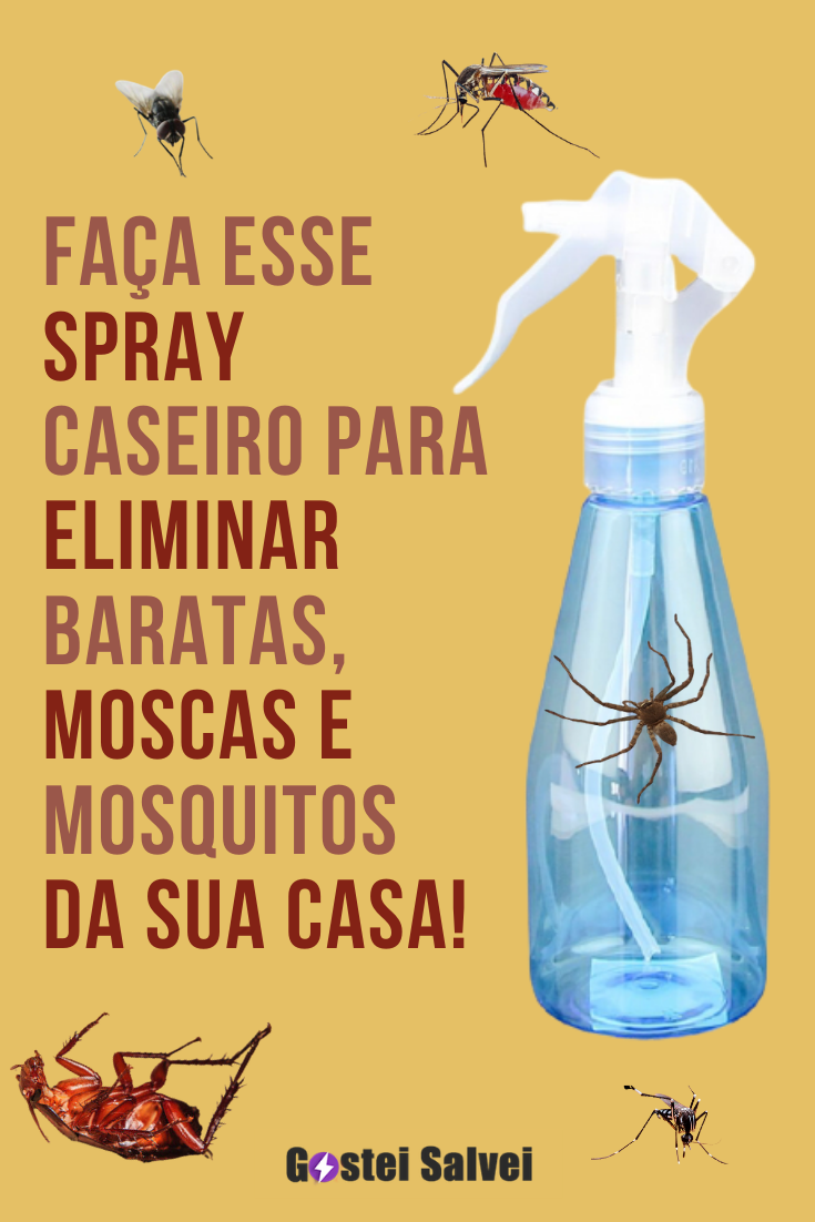 Você está visualizando atualmente Faça esse spray caseiro para eliminar baratas, moscas e mosquitos da sua casa!