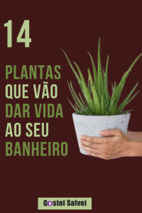 Read more about the article 14 Plantas que vão dar vida ao seu banheiro