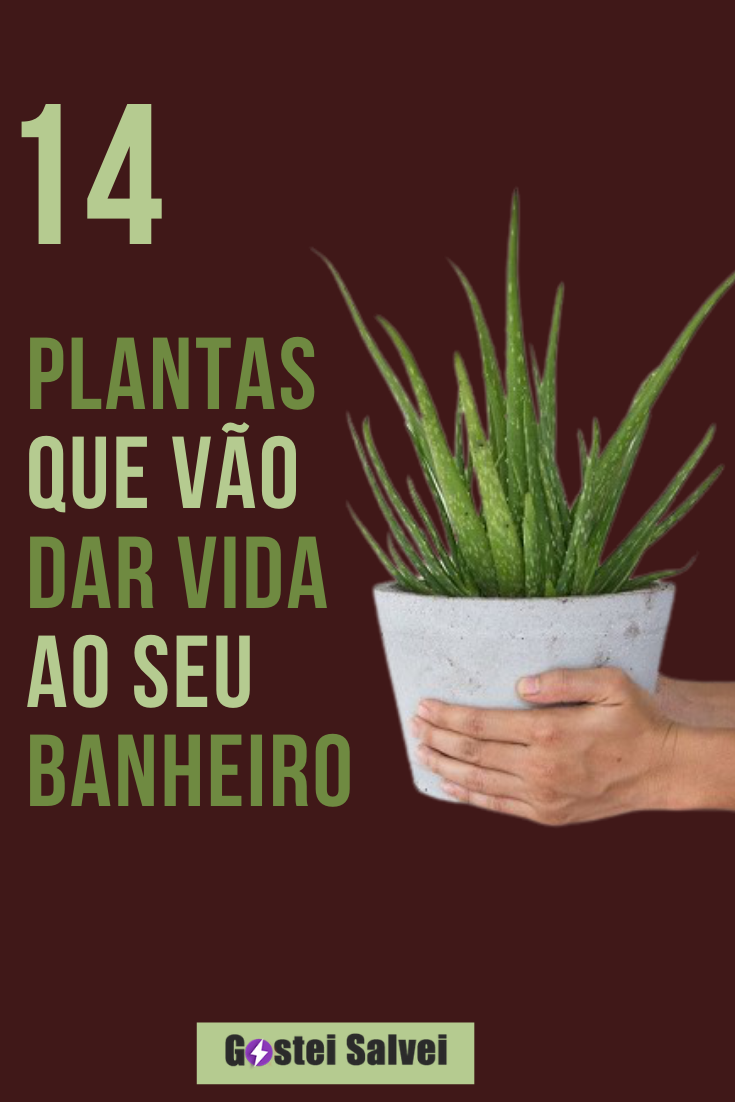You are currently viewing 14 Plantas que vão dar vida ao seu banheiro