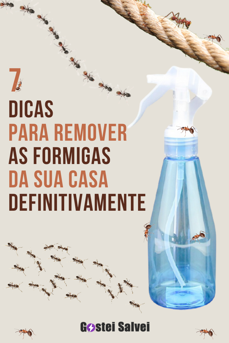 You are currently viewing 7 Dicas para remover as formigas da sua casa definitivamente